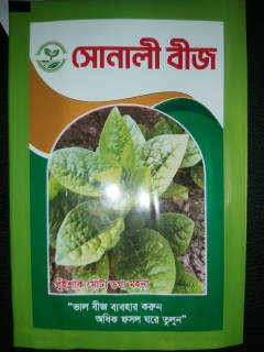 পুঁইশাকের বীজ