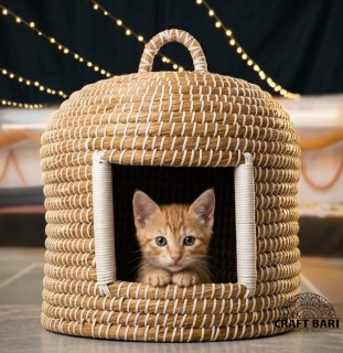 ক্যাট হাউজ