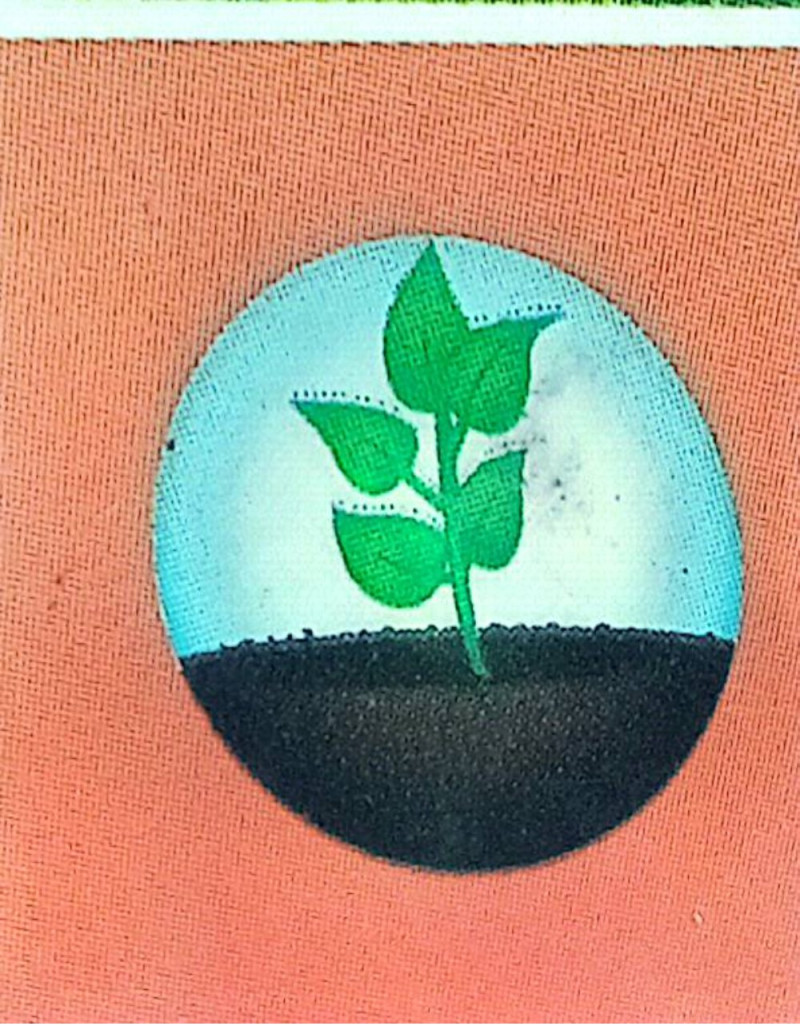 বাংলাদেশ ফার্টিলাইজার কমপ্লেক্স এন্ড ইন্ডাঃ