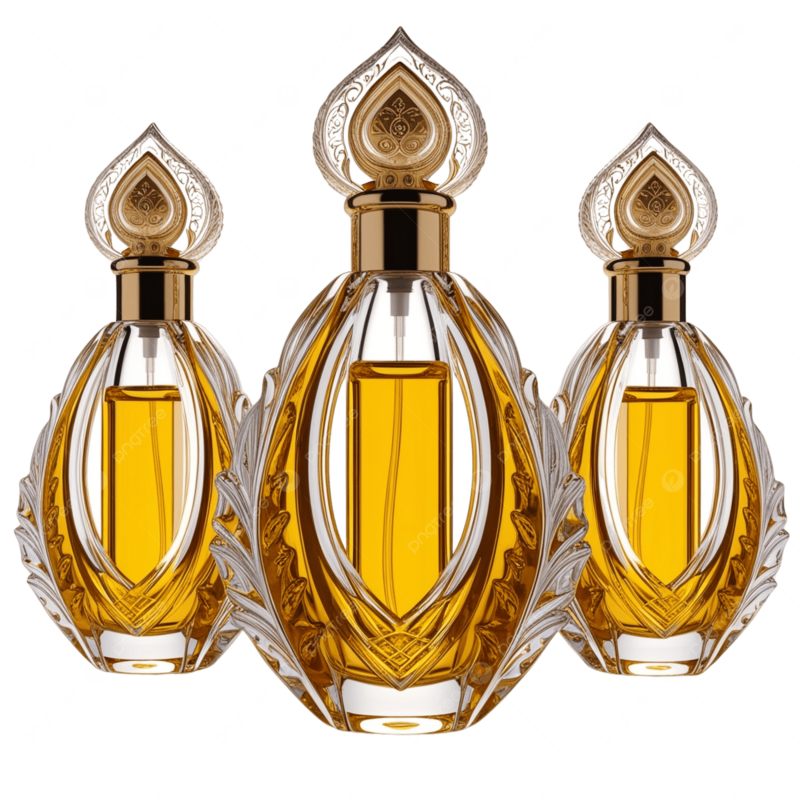 আগর ভ্যালী লিমিটেড