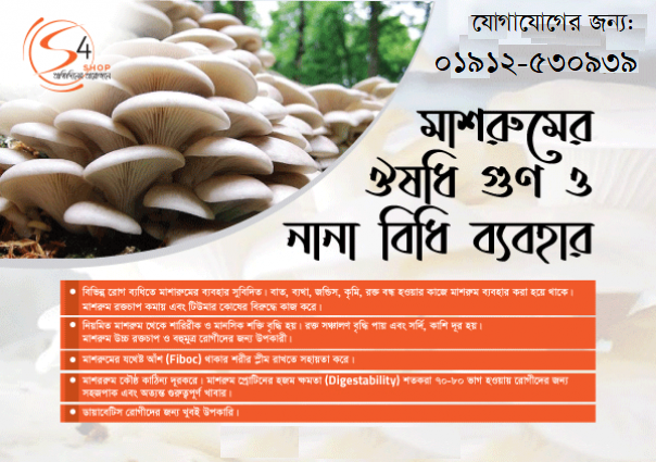 Ghorashal Mashroom Village