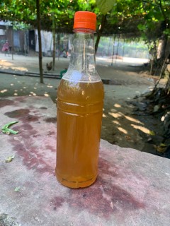 লিচু ফুলের মধু